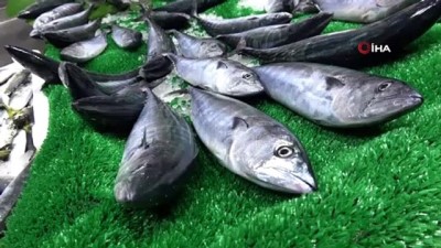  Av sezonu açıldı, tezgahlar canlandı