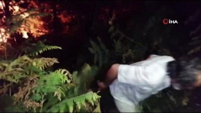  Bolu’da orman yangını