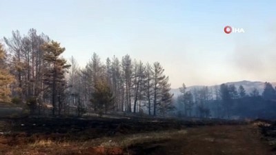 Çankırı'da orman yangını: Helikopterlerle müdahale edildi