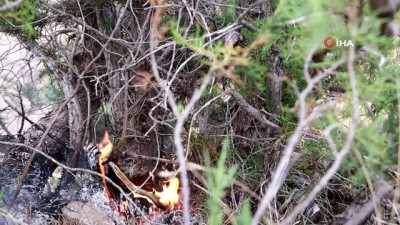  Gümüşhane’de orman ve örtü yangını