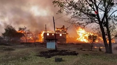 karaagac -  Kastamonu’da ormanda çıkan yangın, 4 ev ve 4 samanlığı da kül etti Videosu