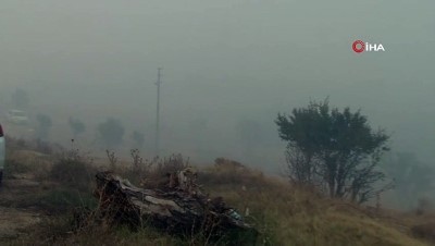  Nallıhan yangını kontrol altına alındı