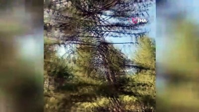  Soğuksu Milli Parkı'nda yangın