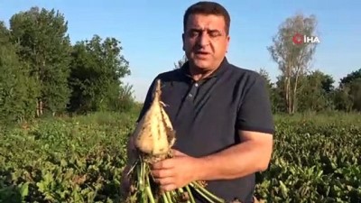 kooperatif -  Tarladan kooperatif başkanlığı adaylığına Videosu