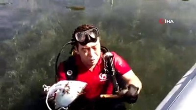  Temizlemek için denize daldı, elinde ütüyle çıktı