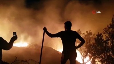 zeytinli -  Tire'de zeytinlik alan alev alev yandı Videosu