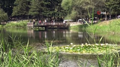 isaf -  HES koduyla girilen Gölcük Tabiat Parkı’na yoğun ilgi Videosu