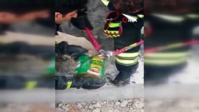 kesk -  Konserve kutusuna kafası sıkışan köpek kurtarıldı Videosu
