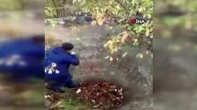 kurtarma operasyonu -  - Rusya'da çukura düşen karacayı yaşlı çift kurtardı Videosu