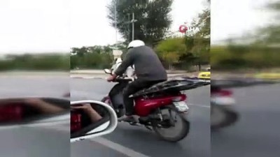 kopek -  Motosikletli köpek kamerada Videosu