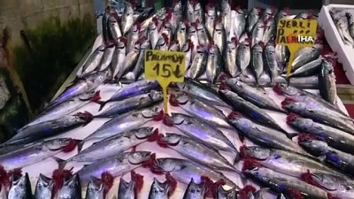  Palamut büyüdükçe fiyatı da arttı