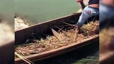  Çuvala dolanmış Nil kaplumbağası bulundu