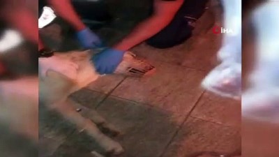 sokak hayvani -  Hasta köpek 112'ye sığındı Videosu