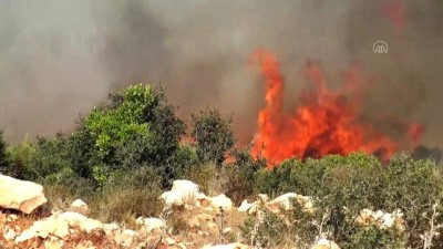 makilik alan - Aydın'da makilik alanda çıkan yangın söndürüldü Videosu