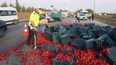 Domates yüklü kamyon devrildi - ADANA