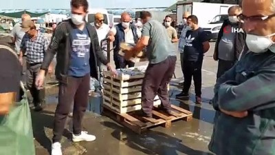 balik bereketi -  Karadeniz'de palamut bereketi Videosu
