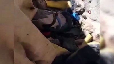  Yılanların çiftleşme dansını çektiler, ölümden döndüler