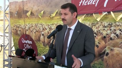 oyunculuk -  Sivas’ta hedef 1 milyon Kangal Akkaraman koyunu Videosu