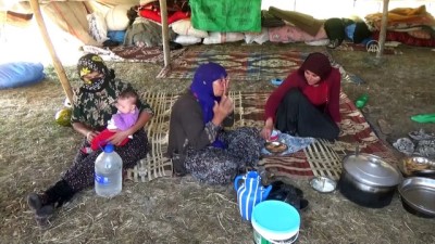 eve donus - Yayla sezonunu tamamlayan göçerlerin dönüş yolculuğu sürüyor - MUŞ Videosu