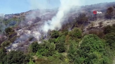 yangina mudahale -  Çalılık alanda çıkan yangın yerleşim yerlerine ilerliyor Videosu