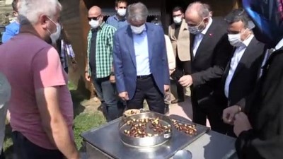 Kültür ve Turizm Bakan Yardımcısı Alpaslan, Konuralp kazı alanını inceledi - DÜZCE