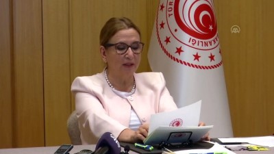 telekonferans - Ticaret Bakanı Pekcan, telekonferans yöntemiyle 4. Antalya Devlet Destekleri Zirvesi’ne katıldı (1) - İSTANBUL Videosu