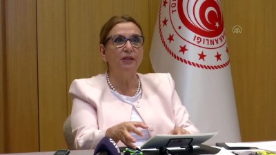 telekonferans - Ticaret Bakanı Pekcan, telekonferans yöntemiyle 4. Antalya Devlet Destekleri Zirvesi’ne katıldı (2) - İSTANBUL Videosu