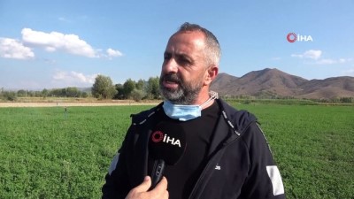 karaagac -  Atıl arazileri tarıma kazandıran belediyeden köylüye ucuz ürün desteği Videosu