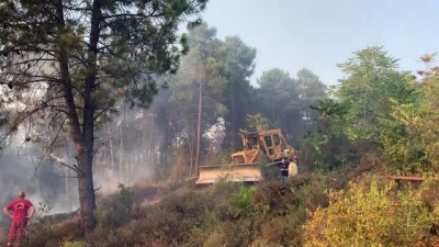 Beykoz'da ormanlık alanda yangın (4) - İSTANBUL