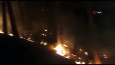  İzmir'deki orman yangını sürüyor