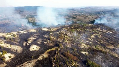 Kandıra'da ormanlık alanda çıkan yangına müdahale ediliyor (2) - KOCAELİ