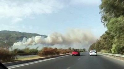 makilik alan - Zeytinlik ve makilik alanda yangın çıktı - AYDIN Videosu