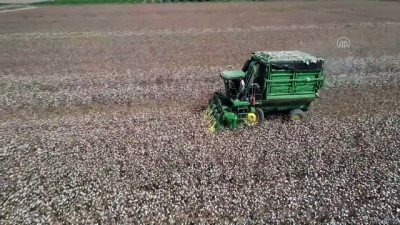 Çukurova çiftçisi alternatif ürünlere yöneldi pamukta ekim alanı daraldı - Drone - ADANA