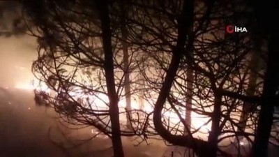 itfaiye araci -  İzmir'de ormanlık alanda çıkan yangın kontrol altında Videosu
