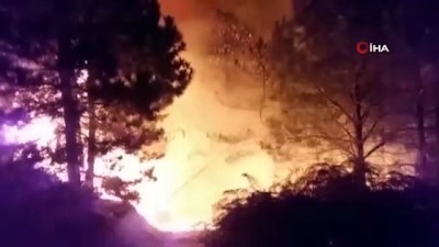 itfaiye araci -  İzmir’deki orman yangını sonrası ağır bilanço: Onlarca hektar ormanlık alan küle döndü Videosu