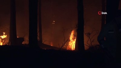 yangina mudahale -  Pendik'te ormanlık alan alev alev yanıyor Videosu