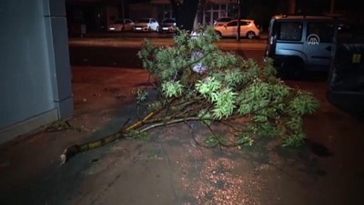 mahsur kaldi - Tekirdağ'da sağanak nedeniyle bazı iş yerlerini su bastı Videosu