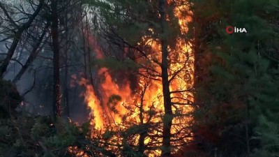 yangina mudahale -  Tokat’ta orman yangını: 1 gözaltı Videosu