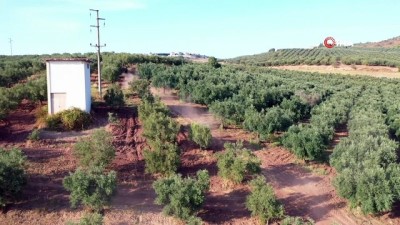 arazi araci -  Dört mevsim müdahale için arazi aracı Videosu