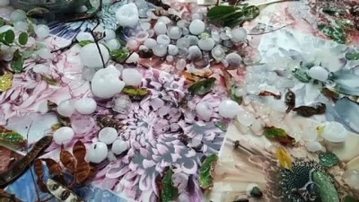 Bazı kesimlerde sağanak ve dolu etkili oluyor (4) - İSTANBUL