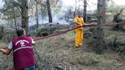  Devrilen ağacın kopardığı elektrik teli ormanı yaktı