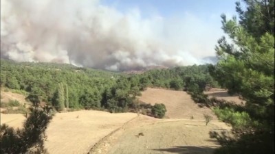 Gördes'te orman yangını (2) - MANİSA