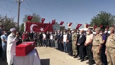 sehit annesi - Irak'ın kuzeyinde şehit olan Uzman Çavuş Temelli, son yolculuğuna uğurlandı - MARDİN Videosu