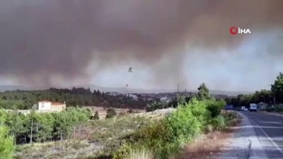  Manisa'da orman yangını