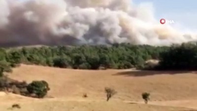  Manisa'daki orman yangınına karadan müdahale devam ediyor