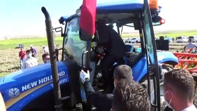 telekonferans -  Silopi’de yer fıstığı hasat şenliği başladı Videosu