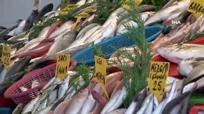balik avi -  Tezgahlarda sağlıksız balık satışının önüne geçiliyor Videosu