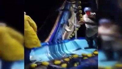 girgir -  Balıkçılar limana kasa kasa palamutla döndü Videosu