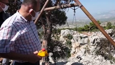 celik halat - Olgunlaşan obruk peynirleri mağaralardan çıkarılmaya başlandı - MERSİN Videosu