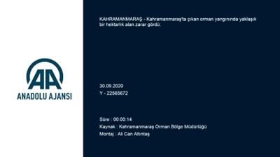 Orman yangınında bir hektarlık alan zarar gördü - KAHRAMANMARAŞ